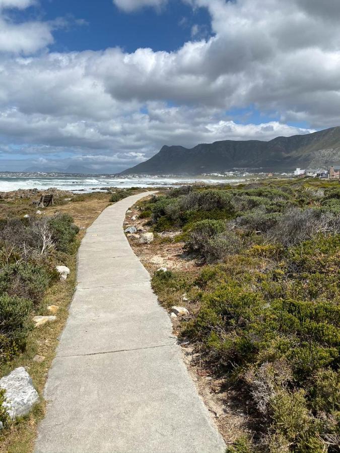 Shore'S Edge Luxury Oceanfront Home Hermanus Eksteriør bilde
